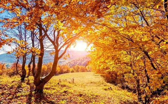 1510539000385776B4GA.png QQ圖片20171113100718.png