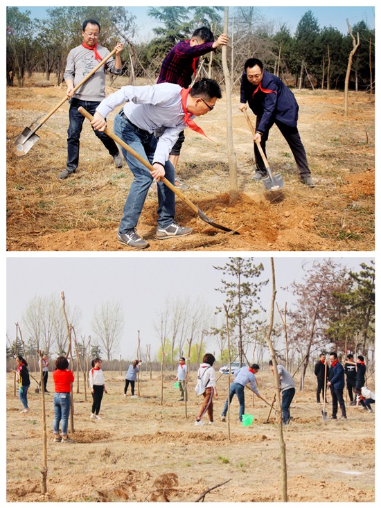 1553473539590204wez9.jpg 圖片6_副本.jpg